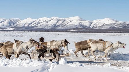 Все о Республике Саха (Якутия): путеводитель