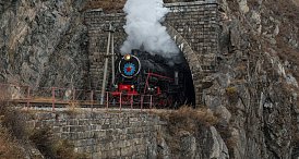 КБЖД: факты