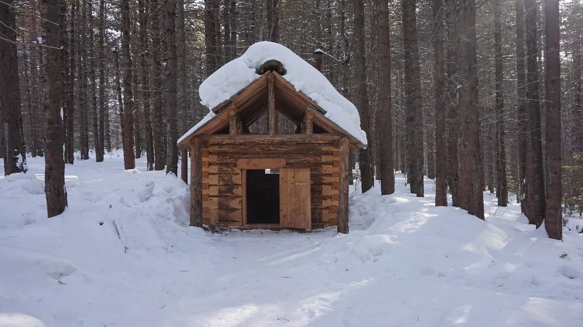 Подготовка ульев к зиме. Зимовье пчел 7 букв. Значение слова зимовка. Зимовье пчел 7 букв. Видео зимовка пчел в 2022 году.