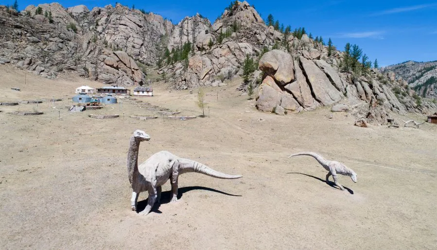 Кладбище динозавров в монголии фото