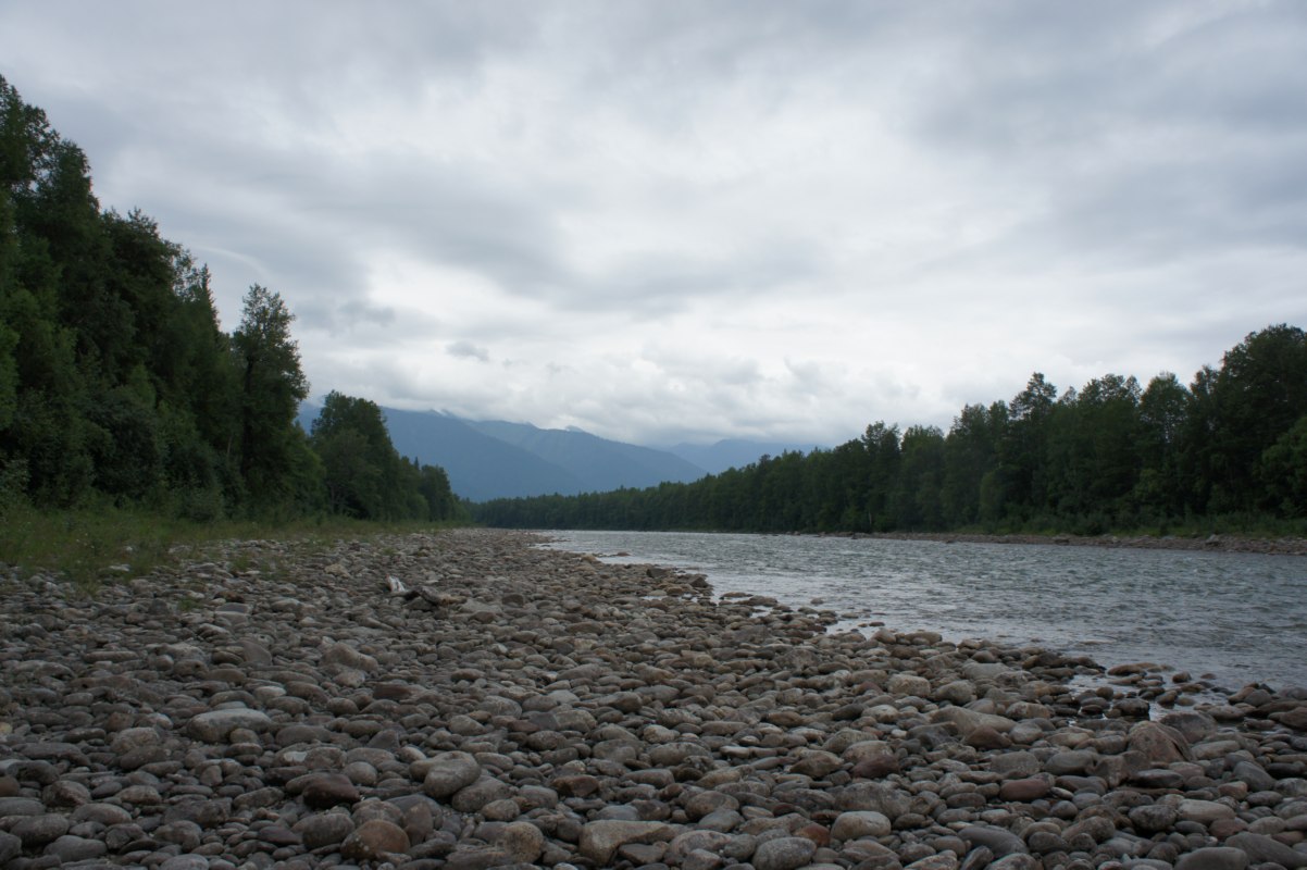 3 дня до старта